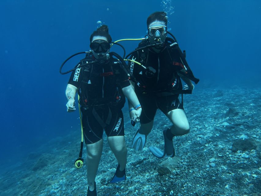 Try diving for the first time in turtle area - Key points for your Tenerife scuba session
