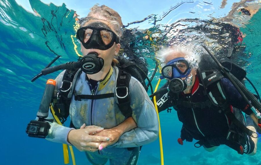 Try diving for the first time in turtle area - Health rules and practical limits