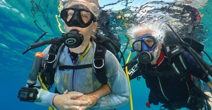 Try diving for the first time in turtle area - A slow first look beneath Tenerife’s surface