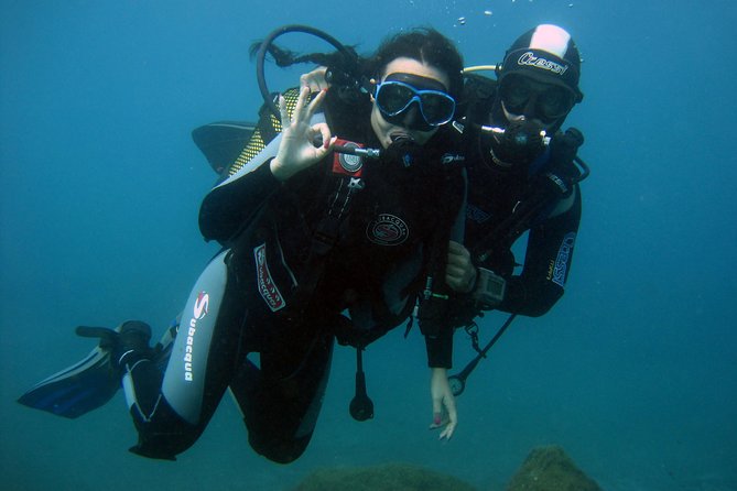 Try Scuba Diving in a turtle area (boat) - What the boat trip adds