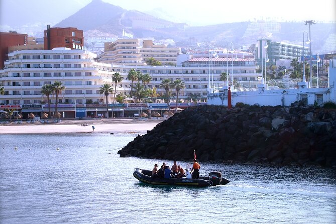 Try Scuba Diving in a turtle area (boat) - Who should book this Costa Adeje activity