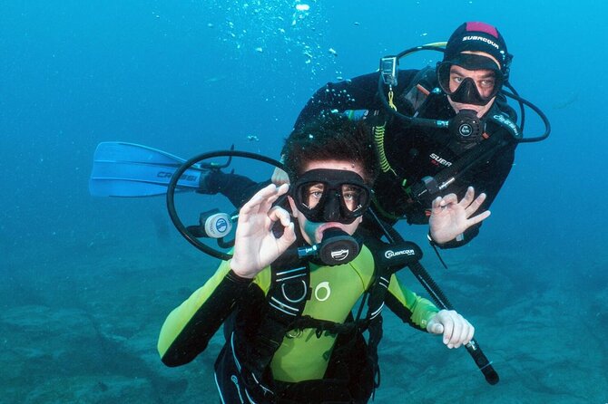 Try Scuba Diving in a turtle area (boat) - A calm start for complete beginners