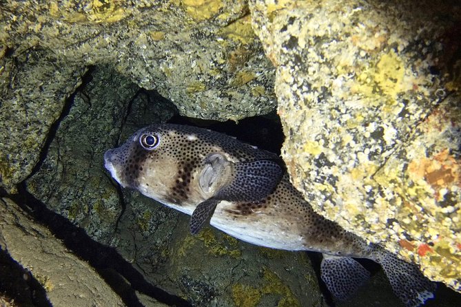 TRY SCUBA DIVING with a Dedicated Instructor - Photos, drinks, and the return to the center