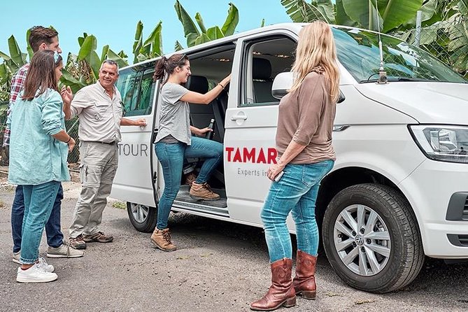VIP Grand Tour Isla de Tenerife from South Tenerife - Key points to know before booking