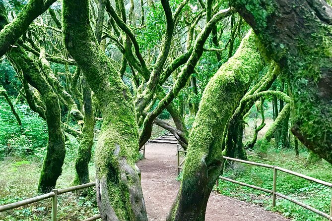 VIP tour of La Gomera from Tenerife - From San Sebastián to Roque de Agando