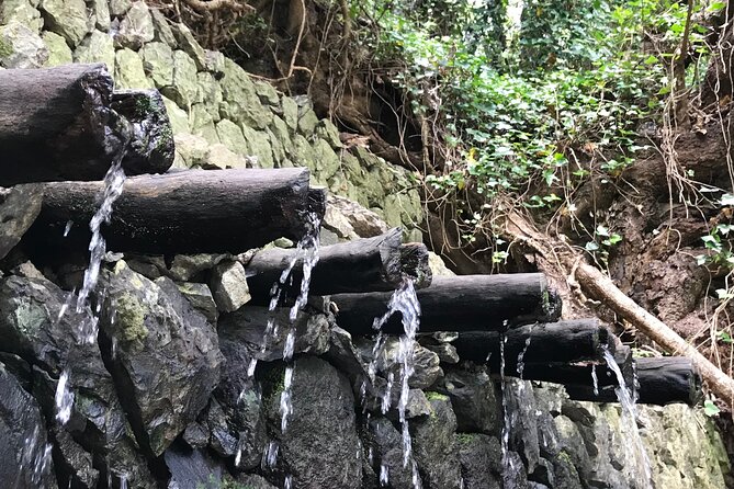 VIP tour of La Gomera from Tenerife - Chipude, La Candelaria, and the Fortress