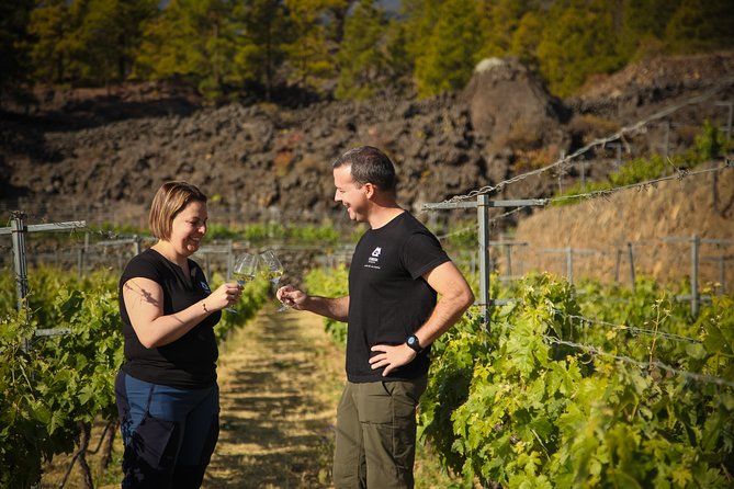 Visit to Arafo Mountain Vineyard and Organic Wine Tasting - Key points to know before you book