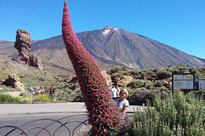 Volcano Teide - Masca ravine. Guided Tour from Puerto de la Cruz - Tenerife - Garachico and Tenerife’s volcanic past