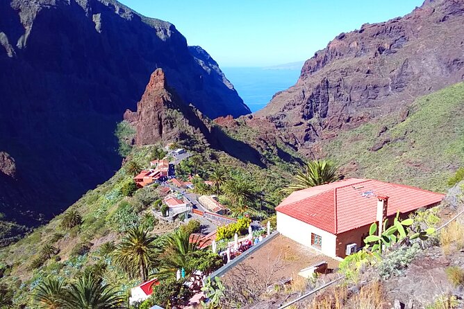 Volcano Teide - Masca ravine. Guided Tour from Puerto de la Cruz - Tenerife - What the guide and driver add