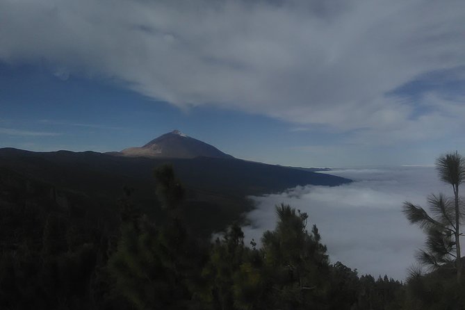 Volcano Teide National Park And North Of The Island VIP TOUR - The essential points at a glance