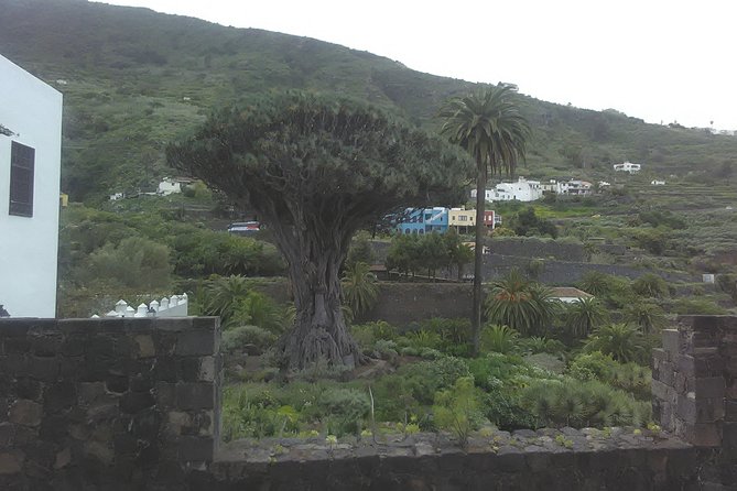 Volcano Teide National Park And North Of The Island VIP TOUR - La Laguna gives the day a strong start