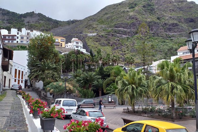 Volcano Teide National Park And North Of The Island VIP TOUR - What the $86.51 price really buys you