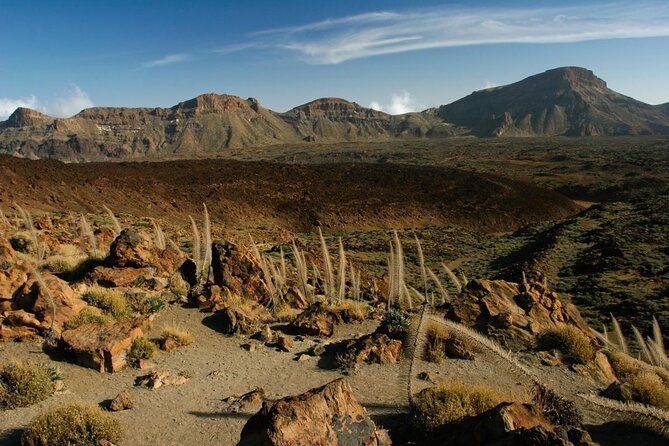 Volcano Teide National Park Guided Tour from Puerto de la Cruz - Tenerife North - Key points to know before you book
