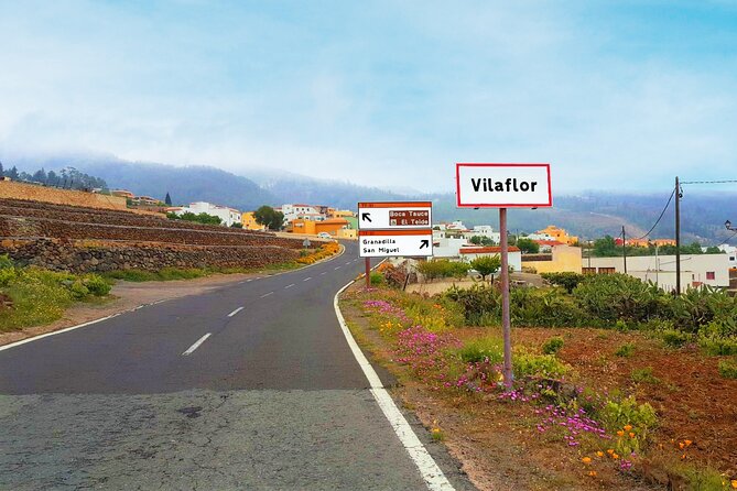 Volcano Teide National Park Guided Tour from Puerto de la Cruz - Tenerife North - Adding the Teide Cable Car for €40