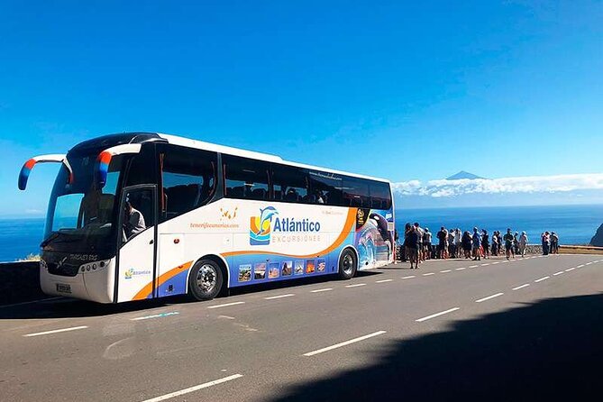 Volcano Teide National Park Guided Tour from Puerto de la Cruz - Tenerife North - What the guiding adds to a coach tour