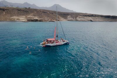 Watching and Listening Whales visiting Los Gigantes&Masca. Food&drinks included