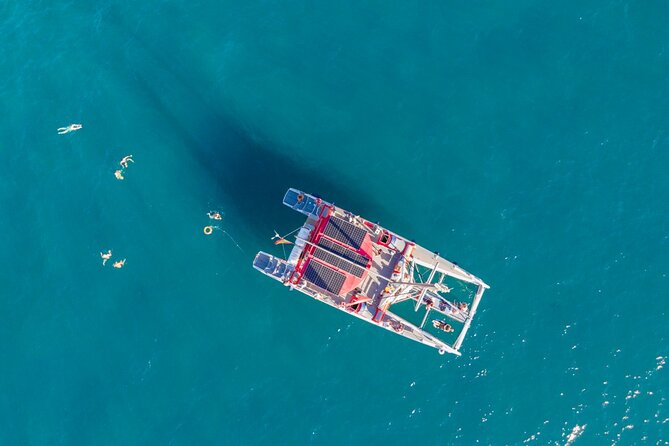 Watching and Listening Whales visiting Los Gigantes&Masca. Food&drinks included - Rice, mojo, fruit, and drinks on board