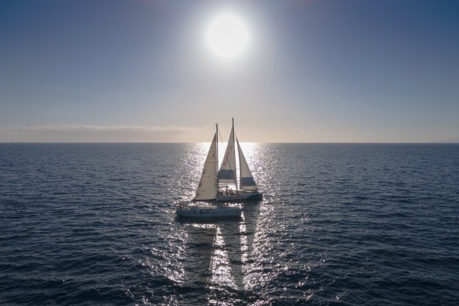 Watching and Listening Whales visiting Los Gigantes&Masca. Food&drinks included - What the $68.61 price really covers