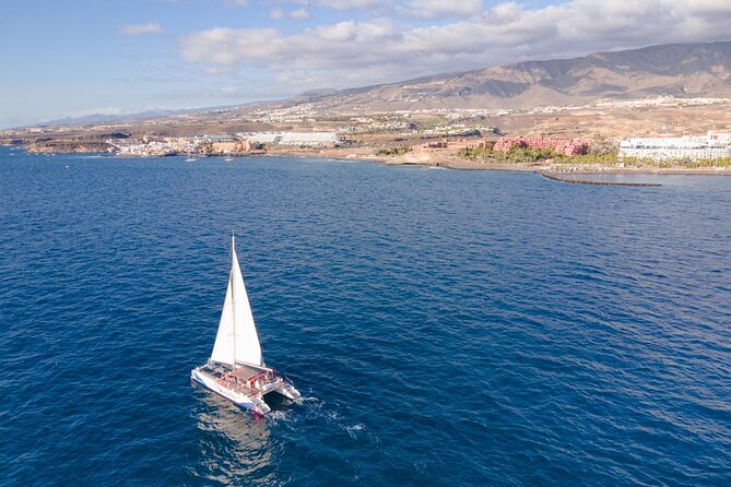 Watching and Listening Whales visiting Los Gigantes&Masca. Food&drinks included - Who will enjoy this catamaran trip most