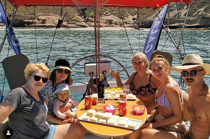 Whale and Dolphin Small Group Sailing from Tenerife South - Key points to know before booking