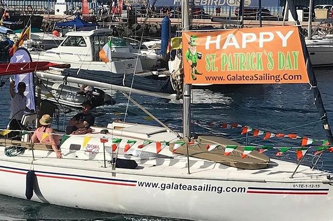 Whale and Dolphin Small Group Sailing from Tenerife South - Practical tips for making the most of the three hours