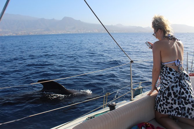 Whale and Dolphin Small Group Sailing from Tenerife South - Looking for pilot whales and dolphins