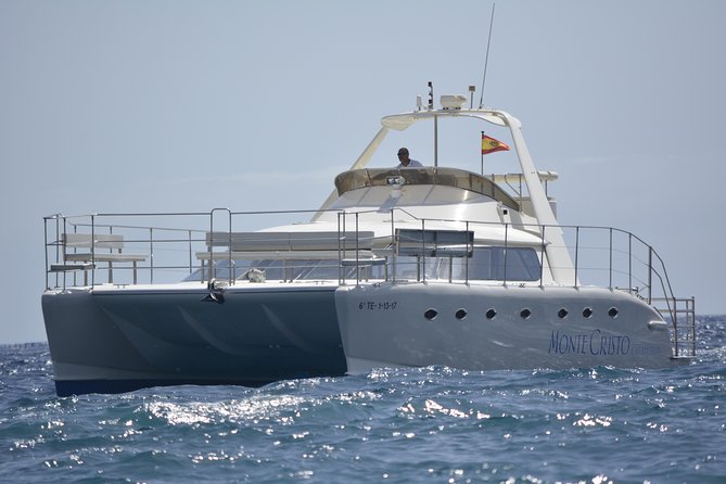 Whale and Dolphin Watching Catamaran with Transfer and Buffet - Why pilot whales are the star of this Tenerife cruise