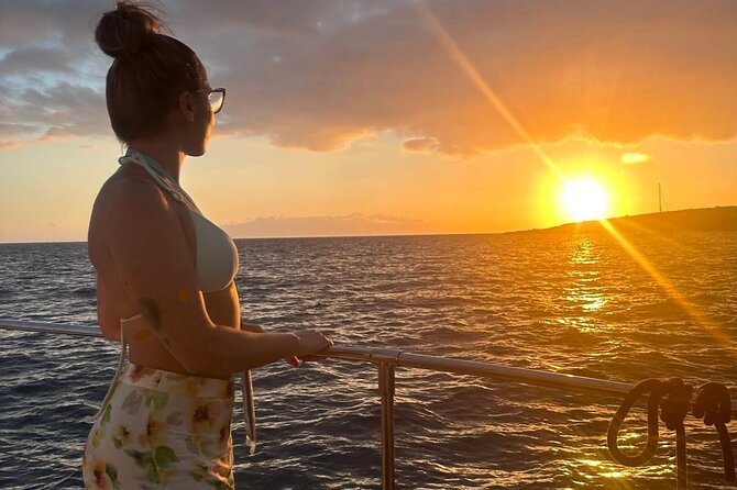 Whale and Dolphin Watching Catamaran with Transfer and Buffet - Sailing back beside Tenerife’s south coast
