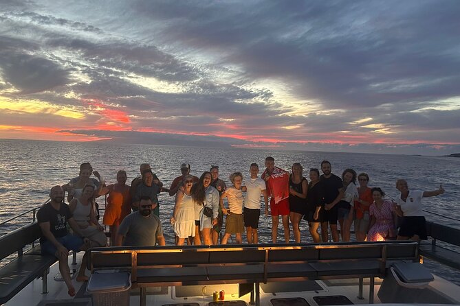 Whale and Dolphin Watching Catamaran with Transfer and Buffet - Practical planning for families, swimmers, and sensitive stomachs