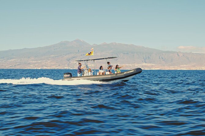Whale and Dolphin Watching EcoAdventure in Tenerife - Pilot whales, dolphins, turtles, and unexpected sightings