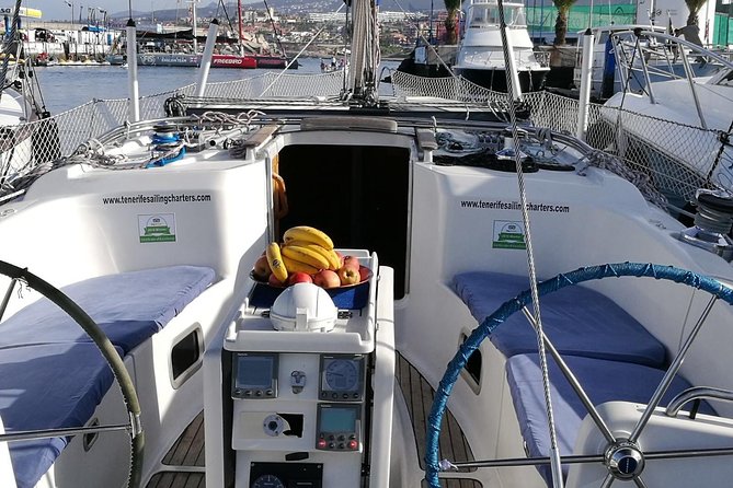 Whale and Dolphin Watching Sailing Boat with Drinks, Snacks and Swimming Time - Seasickness, safety, and comfort