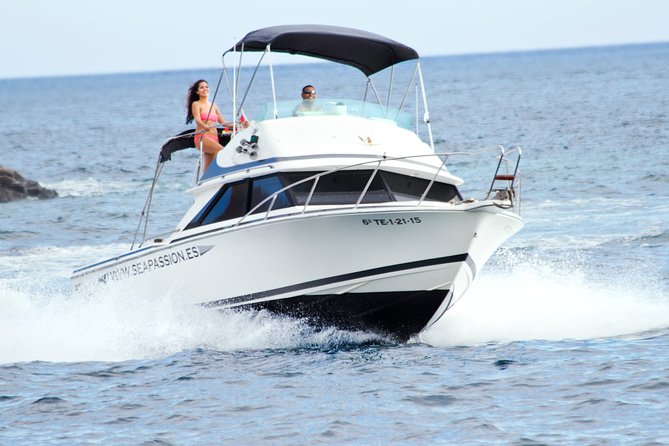 Whale and dolphin watching tour Los Gigantes and Masca in small groups - Key points to know before booking
