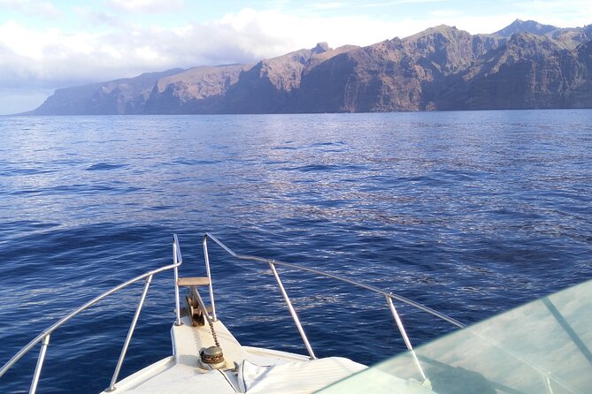 Whale and dolphin watching tour Los Gigantes and Masca in small groups - Timing, weather, and the sunset detail