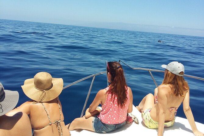 Whale and dolphin watching tour Los Gigantes and Masca in small groups - Los Gigantes from the water