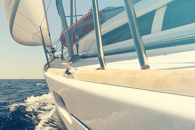 Whale and Dolphin Watching Yacht Trip in Puerto Colon - The search for pilot whales and dolphins