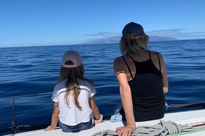 Whale and Dolphin Watching Yacht Trip in Puerto Colon - A swim and snorkel stop near a sheltered cove