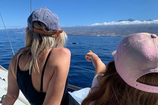 Whale and Dolphin Watching Yacht Trip in Puerto Colon - What the $62.56 price gets you