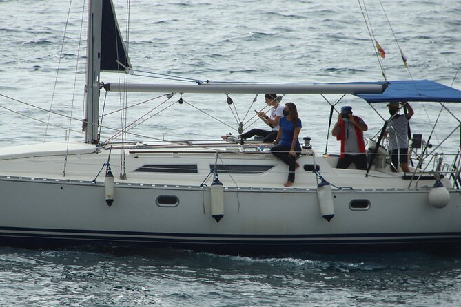 Whale & Dolphin Watching Boat Trip in Tenerife On a Sailing Boat (3 Hr) - Searching for dolphins and Tenerife’s pilot whales