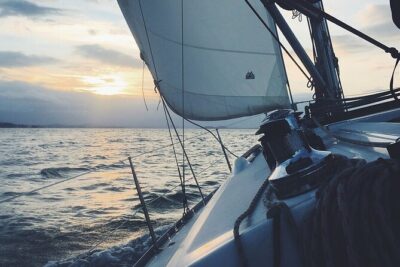 Whale & Dolphin Watching Boat Trip in Tenerife On a Sailing Boat (3 Hr)