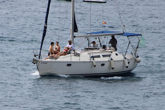 Whale & Dolphin Watching Boat Trip in Tenerife On a Sailing Boat (3 Hr) - The balanced verdict on this Tenerife boat tour