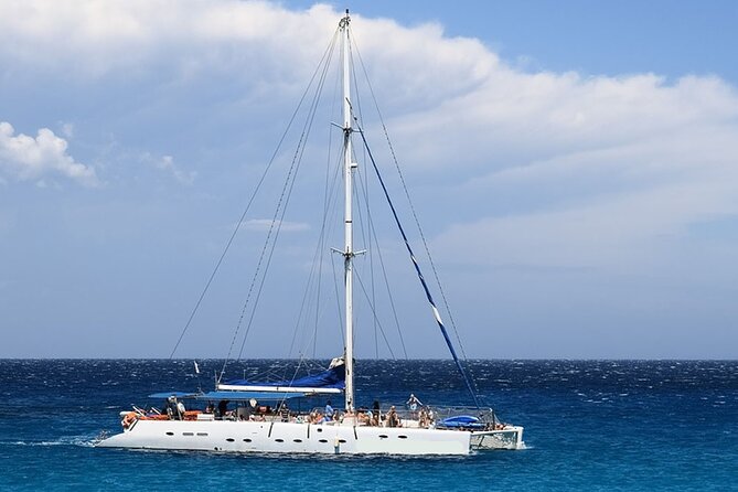 Whale & Dolphin Watching in Tenerife (Puerto Colon) On a Large Catamaran - Key points to know before booking
