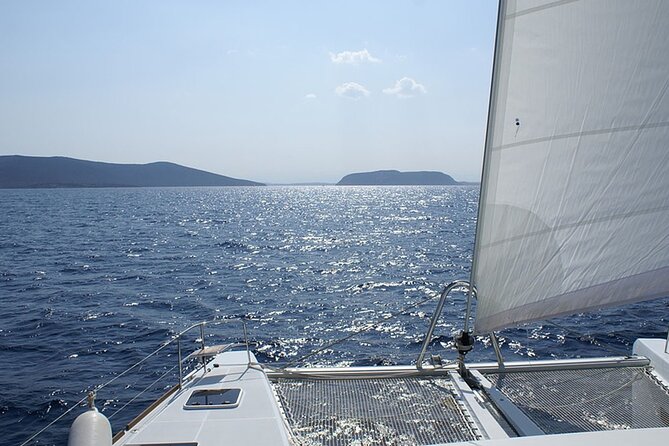 Whale & Dolphin Watching in Tenerife (Puerto Colon) On a Large Catamaran - My call: book it if you want a full boat day