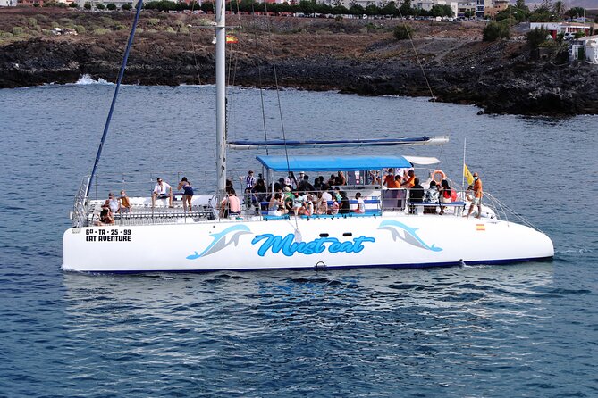 Whale & Dolphin Watching With Mustcat Virgin Coast Trip On a Large Catamaran - Food and the open bar
