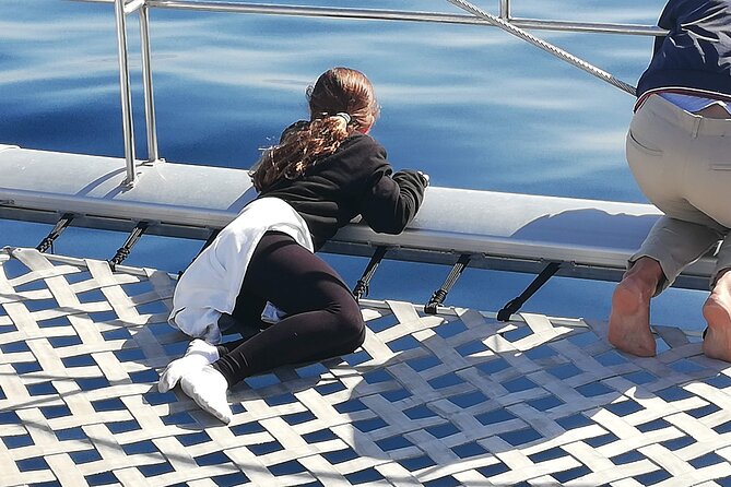 Whale & Dolphin Watching With Mustcat Virgin Coast Trip On a Large Catamaran - What the three-hour schedule feels like