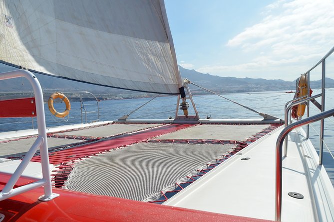 Whale Watching and Listening Eco Catamaran Tour with Food Tasting - Leaving Puerto Colón at 10:30 am