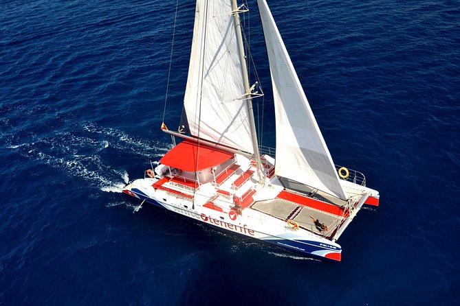 Whale Watching and Listening Eco Catamaran Tour with Food Tasting - Los Gigantes cliffs and Masca Bay by catamaran