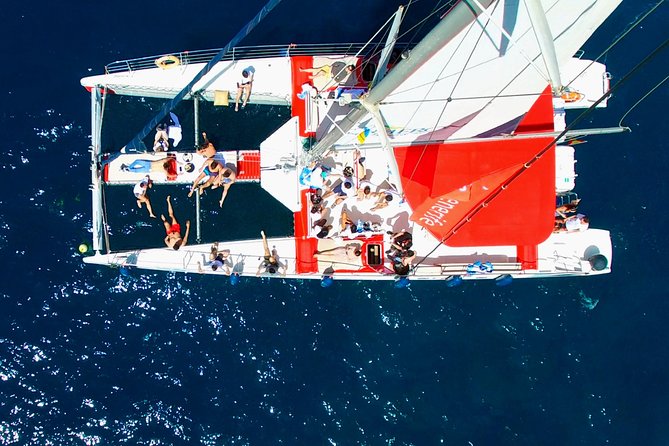 Whale Watching and Listening Eco Catamaran Tour with Food Tasting - Lunch, drinks, and the rhythm of the afternoon