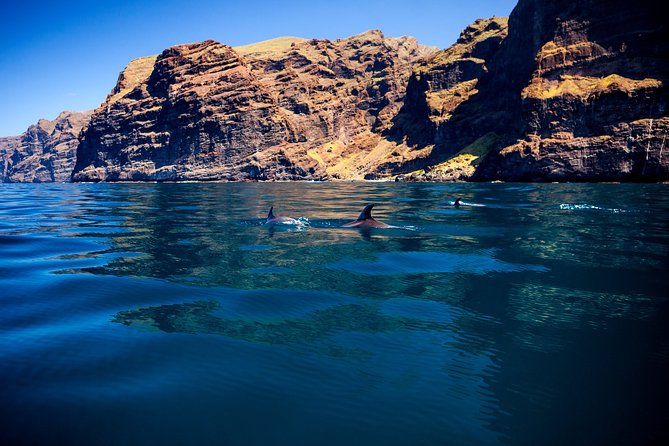 Whale watching and listening Eco-Catamaran Tour with Food Tasting - Who will enjoy this catamaran most?
