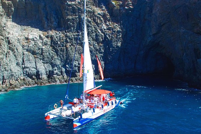 Whale watching and listening Eco-Catamaran Tour with Food Tasting - Smart packing tips for this Tenerife boat trip