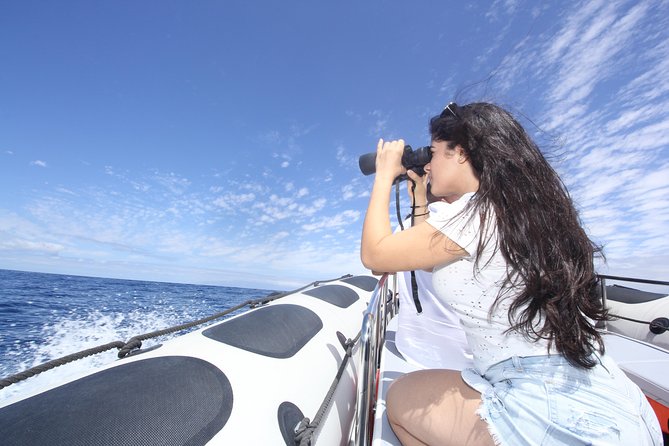 Whale Watching and Marine Science Tour - The best time slot and the weather question